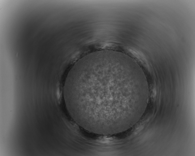 X0000094960607200712061313