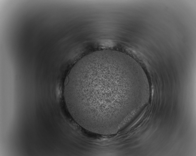 X0000094960608200712061313