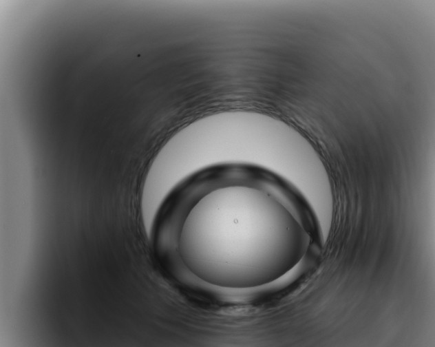 X0000094960609200712061313