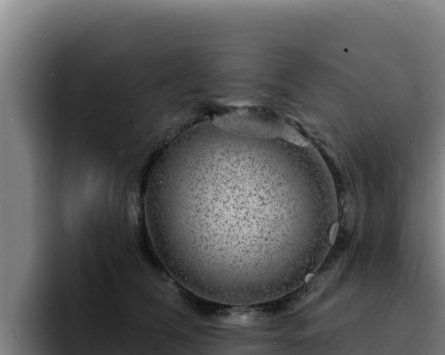 X0000094960612200712061313