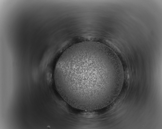 X0000094960615200712061313