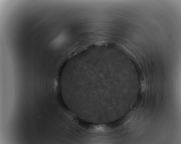 X0000094960618200712061313