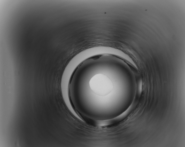 X0000094960621200712061313