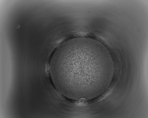 X0000094960624200712061313