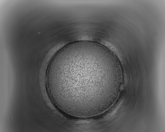 X0000094960625200712061312