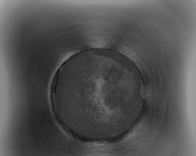 X0000094960626200712061312