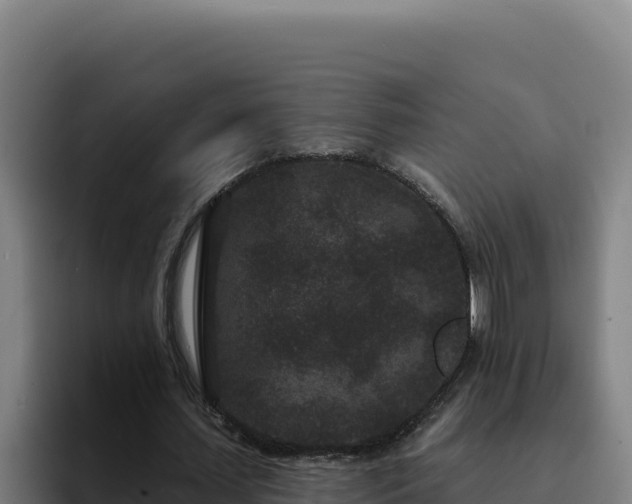 X0000094960627200712061312