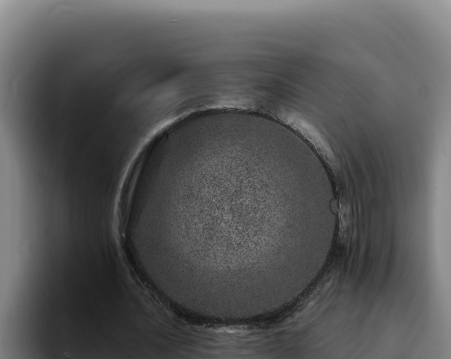 X0000094960628200712061312