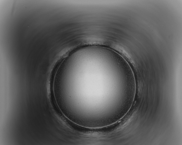 X0000094960629200712061312