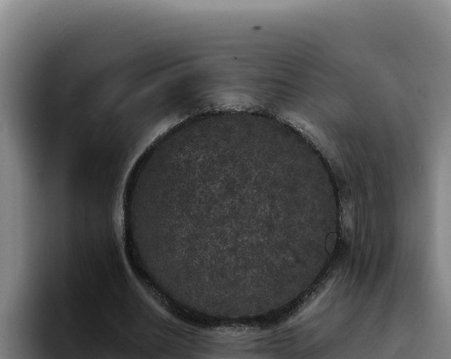 X0000094960630200712061312