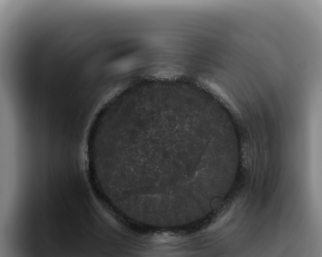 X0000094960634200712061312