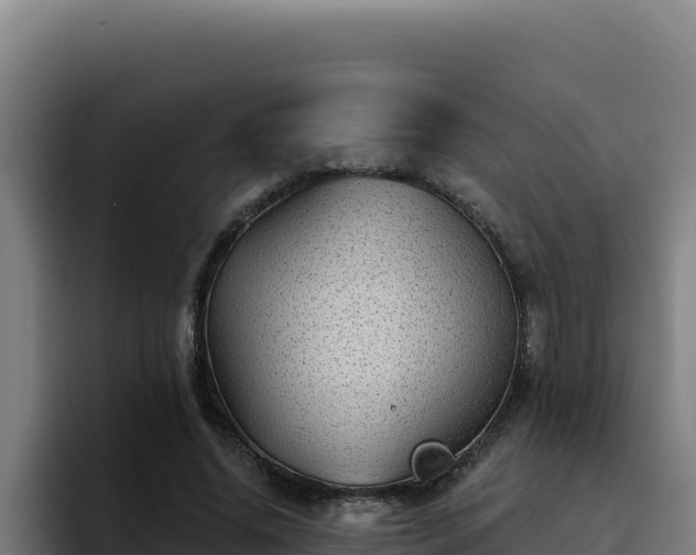 X0000094960636200712061312