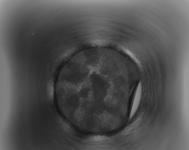 X0000094960637200712061312