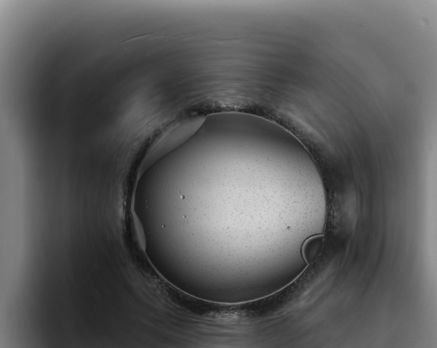 X0000094960639200712061312