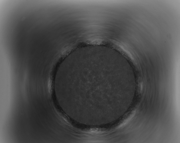 X0000094960641200712061312