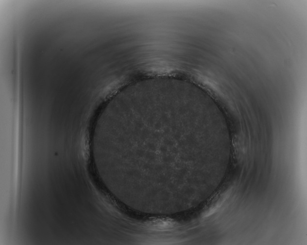 X0000094960642200712061312