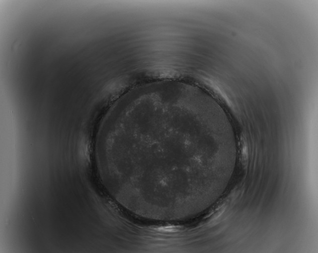 X0000094960643200712061312