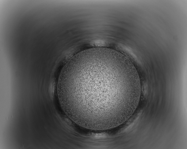 X0000094960645200712061312