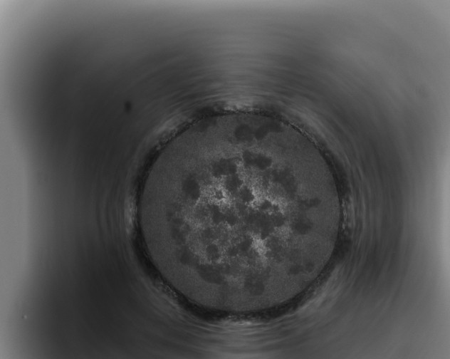 X0000094960648200712061312