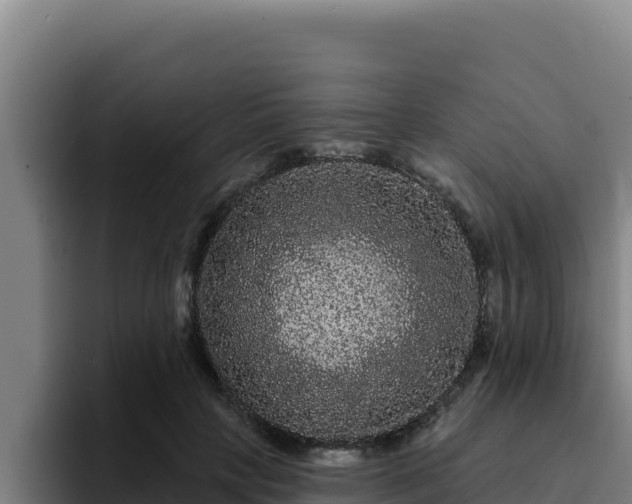 X0000094960649200712061312