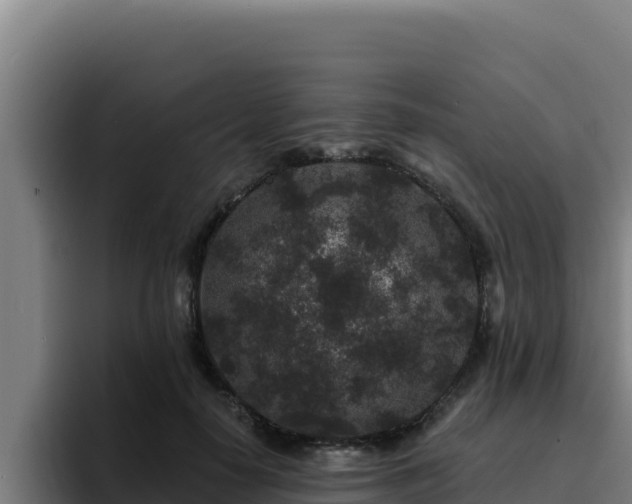 X0000094960650200712061312