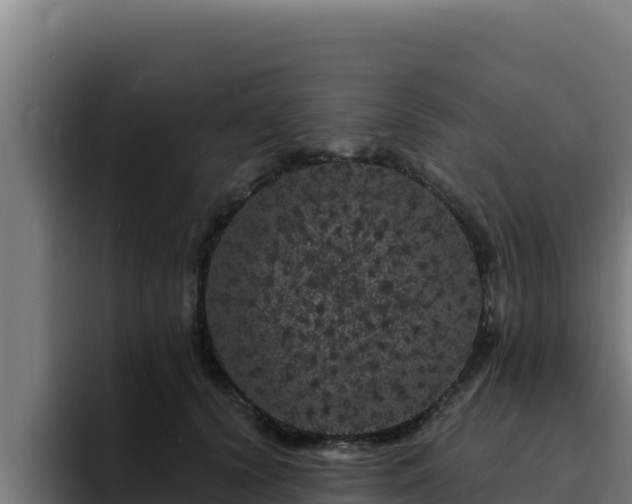 X0000094960656200712061312