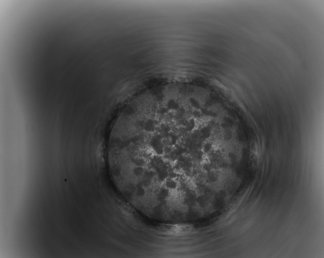 X0000094960663200712061312