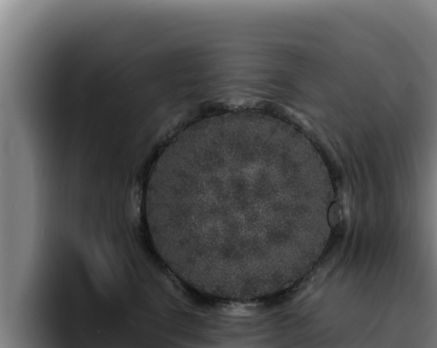 X0000094960664200712061313