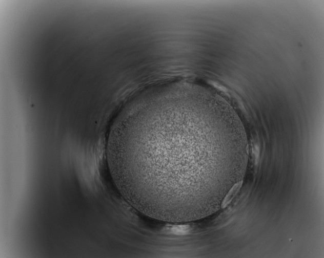 X0000094960665200712061313