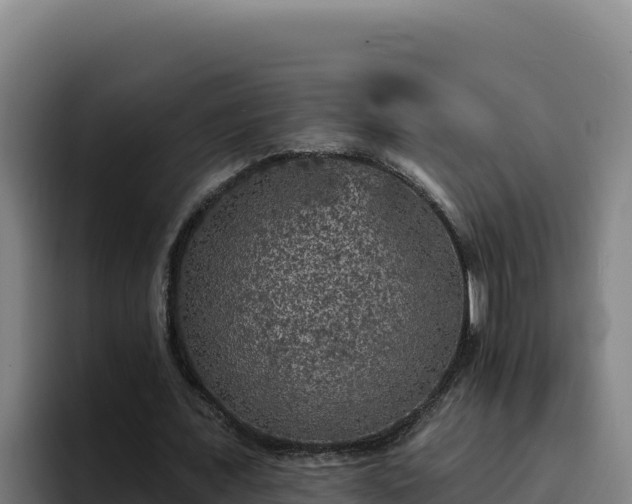 X0000094960675200712061312