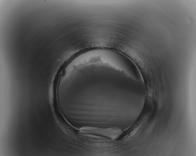 X0000094960678200712061312