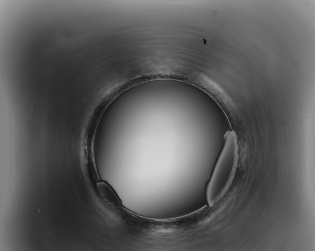 X0000094960680200712061312