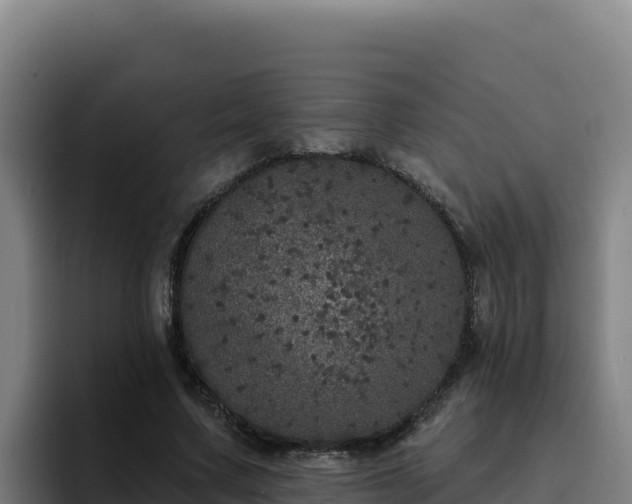 X0000094960683200712061312