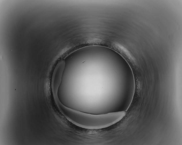 X0000094960684200712061312