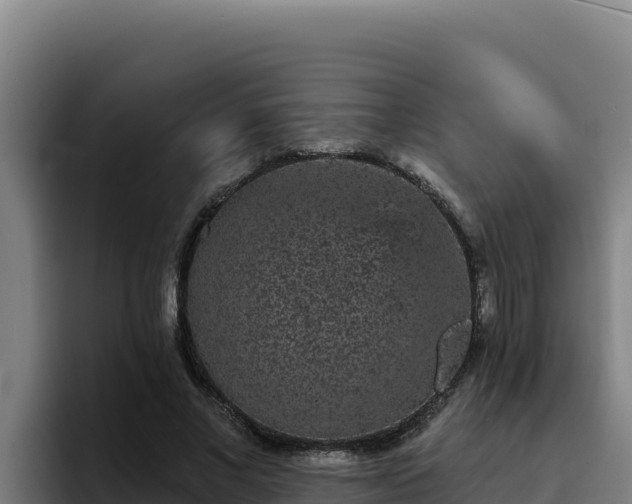 X0000094960685200712061312