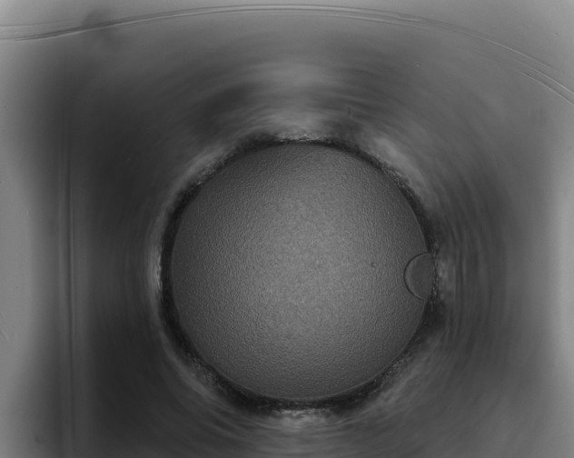 X0000094960686200712061312