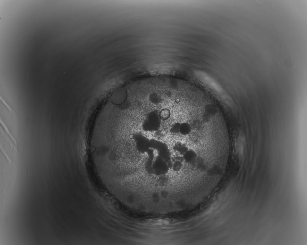 X0000094960687200712061312