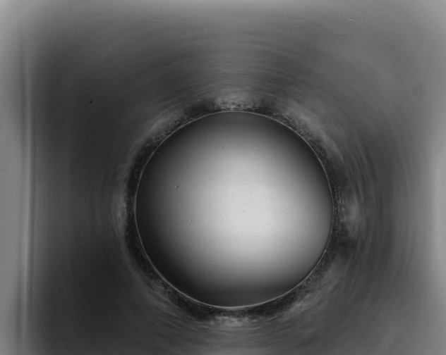 X0000094960690200712061312