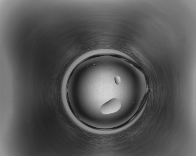 X0000094960696200712061312