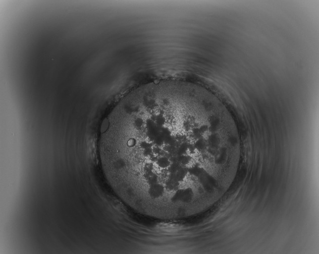 X0000094960699200712061312