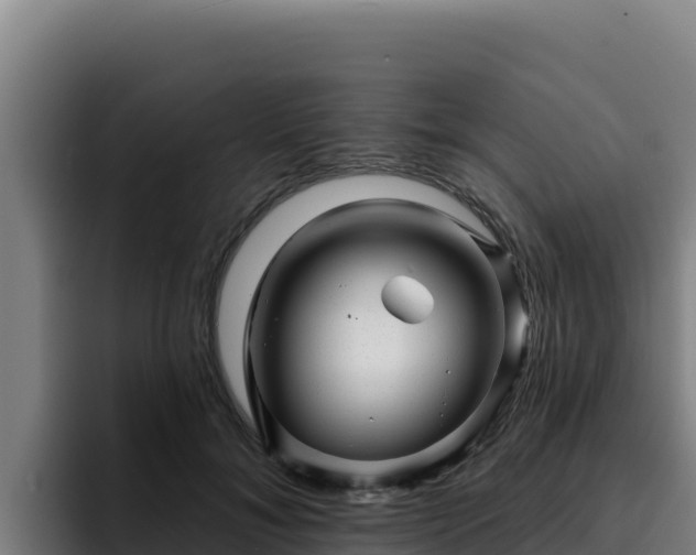 X0000094960700200712061312