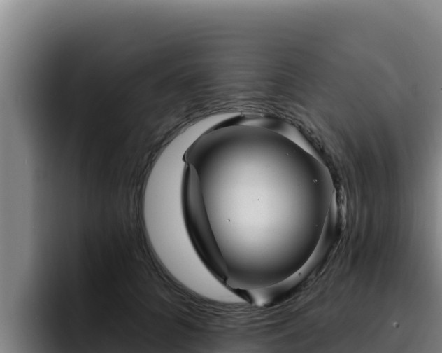 X0000094960704200712061312