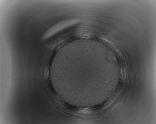 X0000094960705200712061312