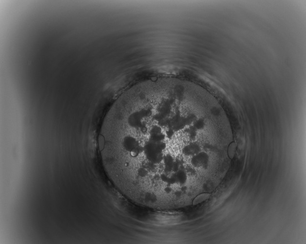 X0000094960707200712061312