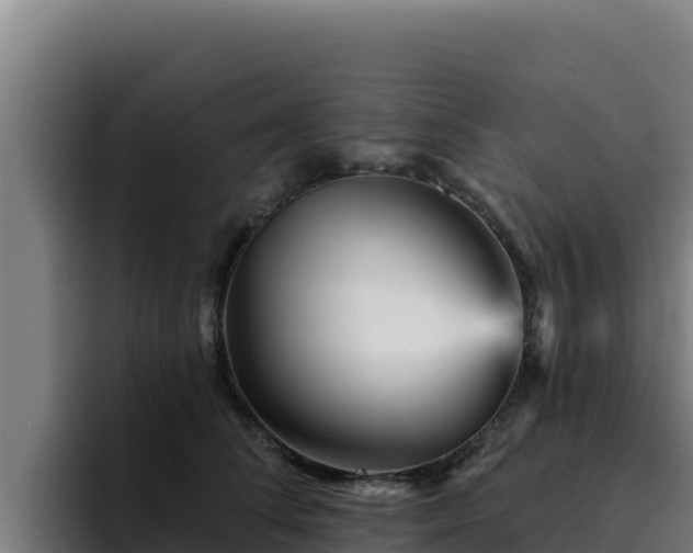 X0000094960708200712061312