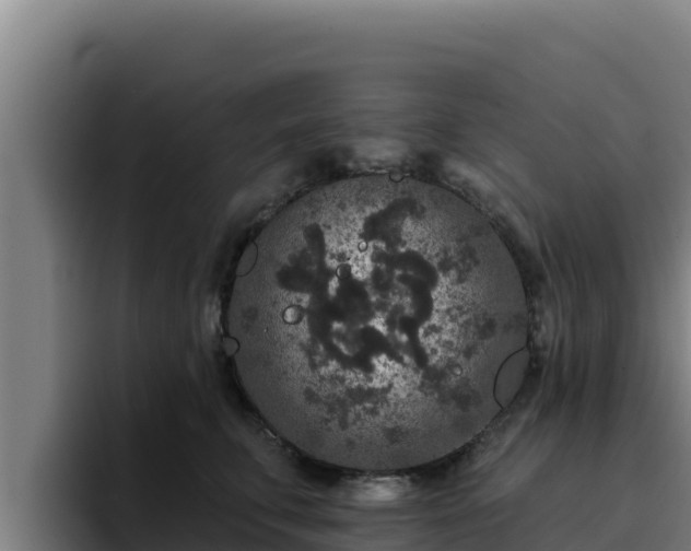 X0000094960711200712061311