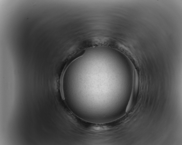 X0000094960712200712061311