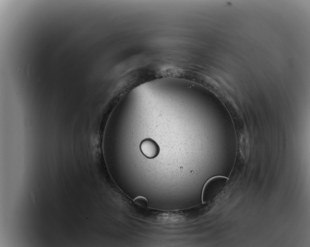 X0000094960714200712061311