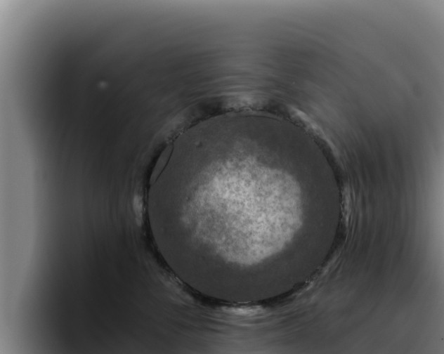 X0000094960716200712061311