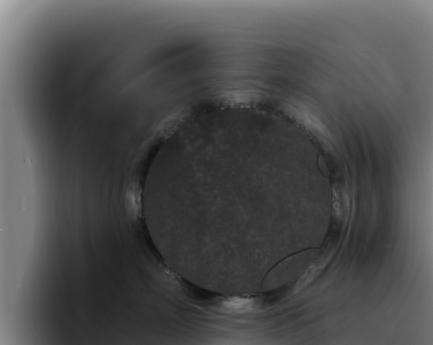 X0000094960718200712061311